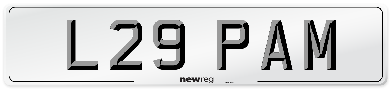 L29 PAM Number Plate from New Reg